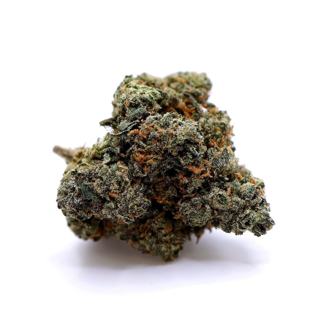 Fort lauderdale weed delivery Trends in South Florida