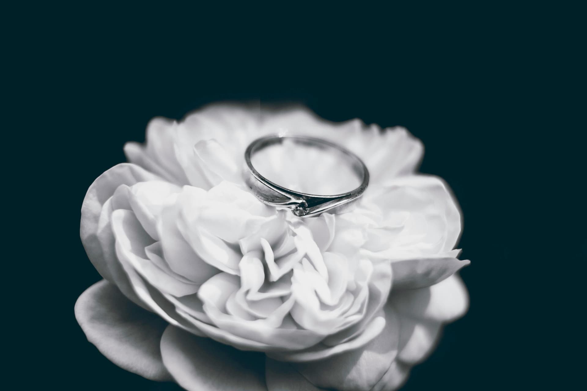Luxury diamond rings for Elegant Proposals